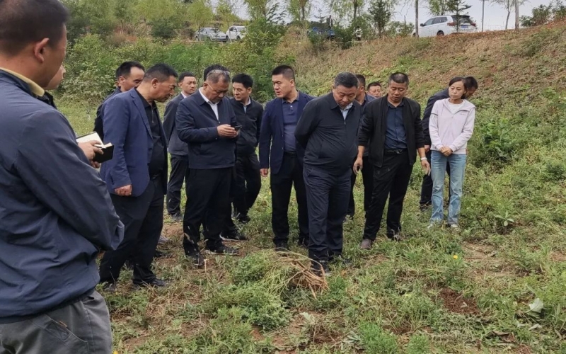 天水市政協(xié)副主席、清水縣委書記馬越垠到“榮程百草莊園”中藥材試驗基地調研中草藥產業(yè)發(fā)展工作