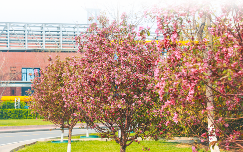 榮程視覺 - 來，一起走進(jìn)春天里的榮程鋼鐵