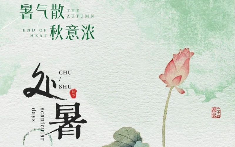 二十四節(jié)氣 X 非遺體驗(yàn) - 處暑織秋色，扎染融自然